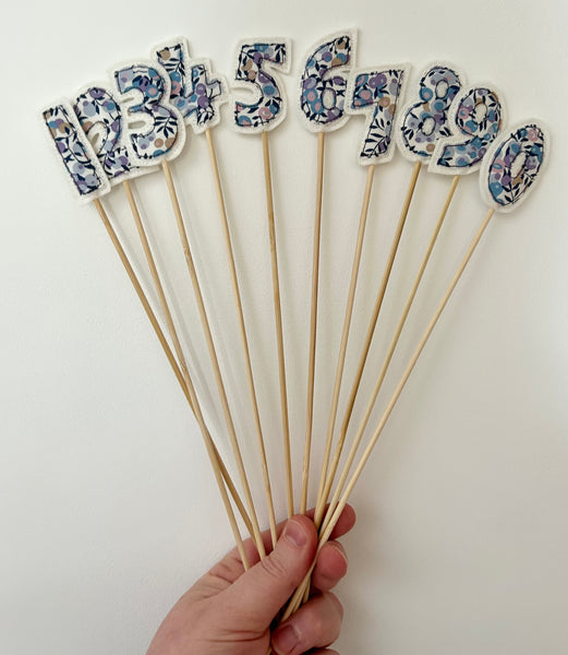 Set of 10 numbers Cake Toppers