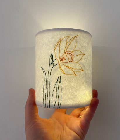 Daffodil Lantern